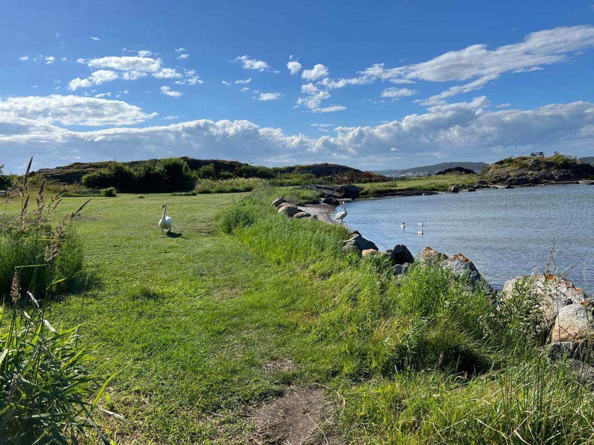 Ny Leilighet I Nevlunghavn Larvik Extérieur photo