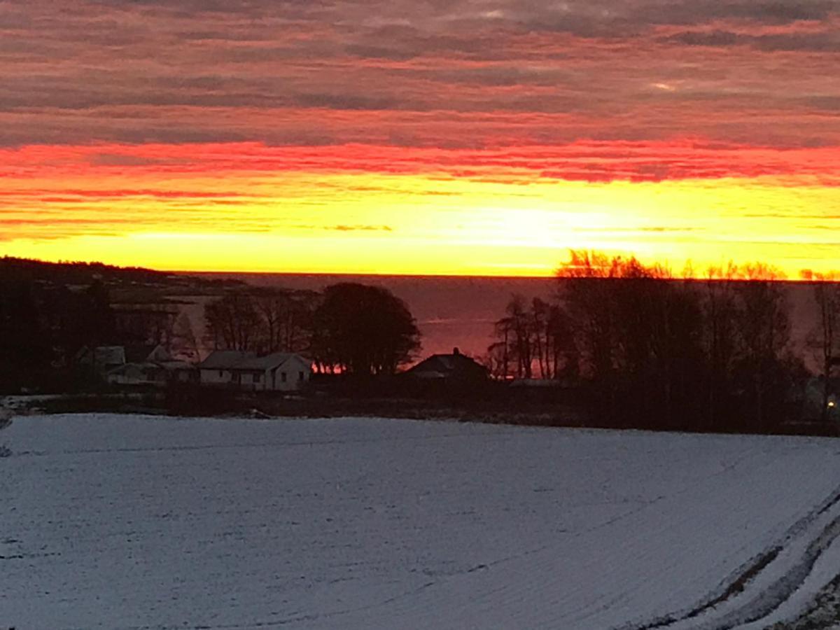 Ny Leilighet I Nevlunghavn Larvik Extérieur photo