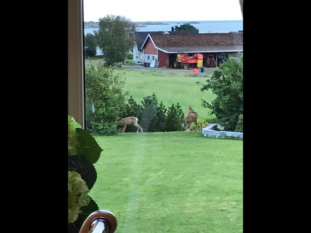Ny Leilighet I Nevlunghavn Larvik Extérieur photo