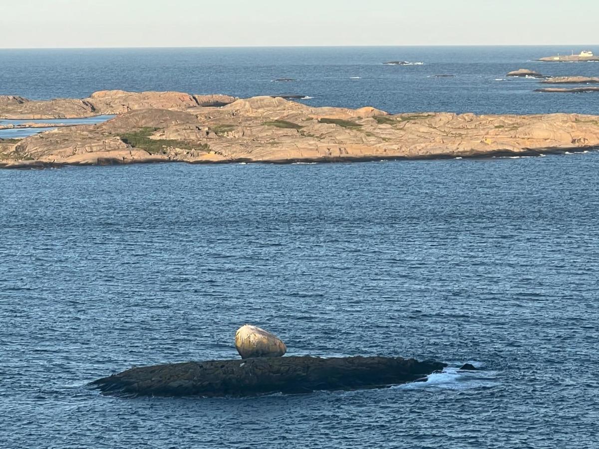 Ny Leilighet I Nevlunghavn Larvik Extérieur photo